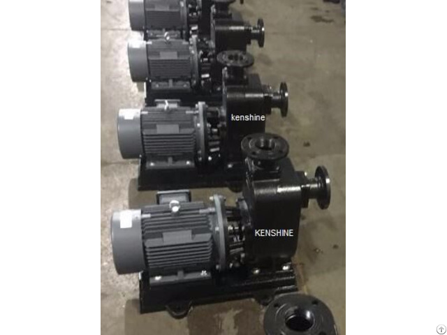 Zwl Self Priming Sewage Pump