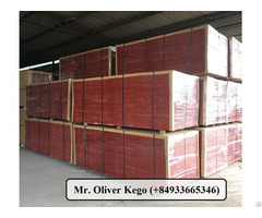 Plywood 17 5mm For Construction Usage