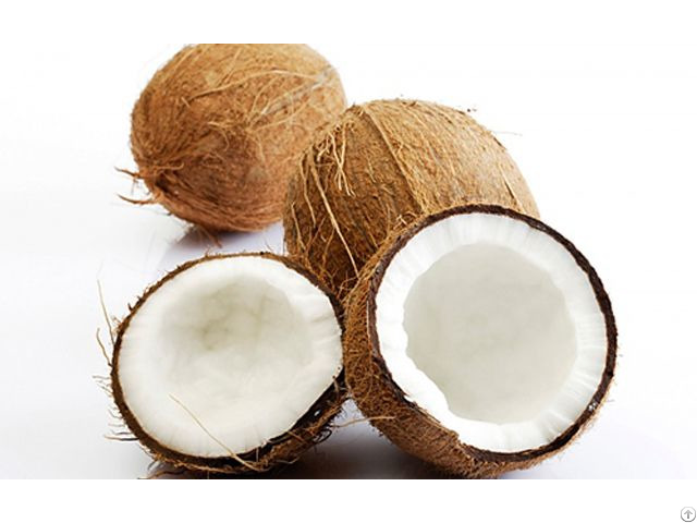 Mature Coconut