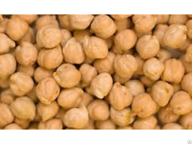 High Quality Grade Chick Peas