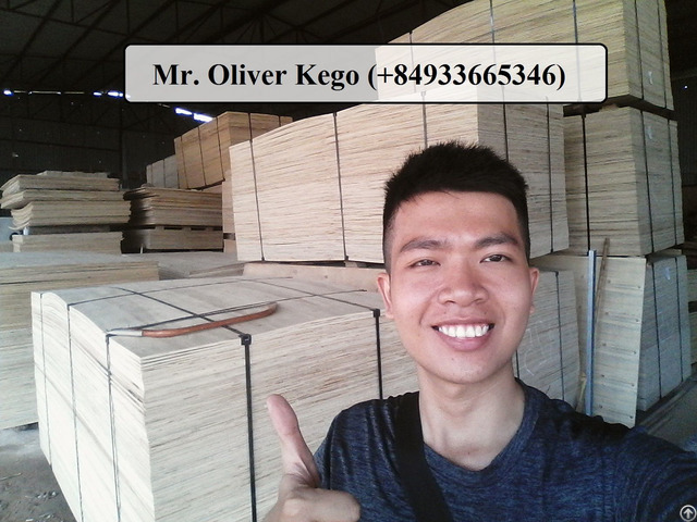 Vietnamese Packing Plywood Shipping To Asia