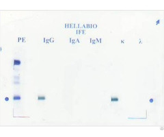 Immunofixation Electrophoresis Kit