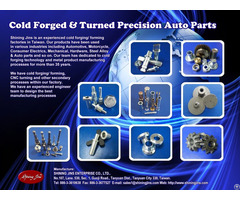 Cold Forged And Turned Fasteners