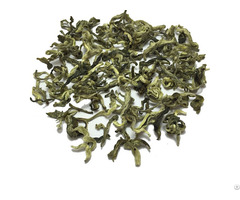 Organic Green Tea Snow Dragon 1st Grade