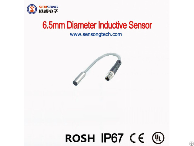 Length Stainless Steel Smooth Body Flush Inductive Proximity Sensor