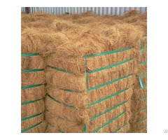 Long Coconut Fiber Dried