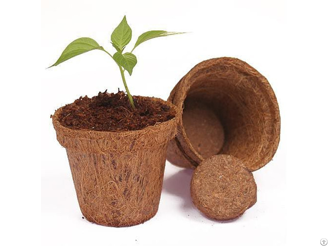 Coconut Fiber Pots