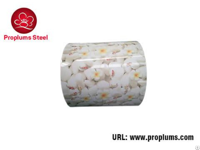 Color Coated Steel Sheet Factory