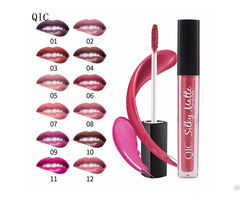 High Quality 2018 Qic Makeup Liquid Lipstick Matte Lip Gloss