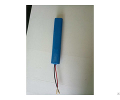 Battery Pack Lithium Ion Battey 24v 2500mah For Appliances