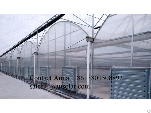 Good Quality Tomato Strawberry Lettuce Hydroponic Plastic Film Greenhouse