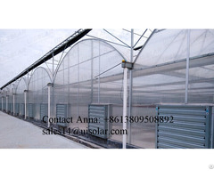 Good Quality Tomato Strawberry Lettuce Hydroponic Plastic Film Greenhouse