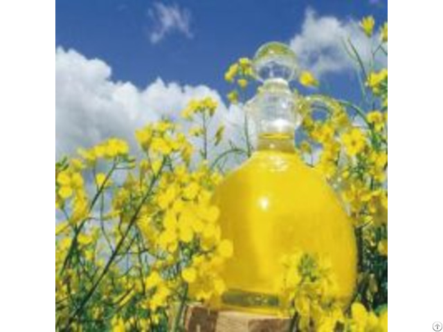 Premium Oils Fermented Rapeseed Oil