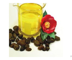 Premium Fermented Camellia Oil