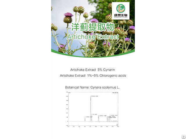 Artichoke Extract 5 Percent Cynarin