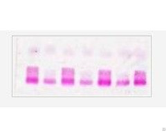 Lipoprotein Electrophoresis Kit
