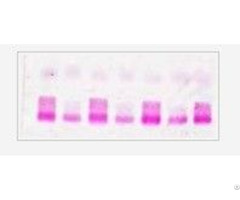 Lipoprotein Electrophoresis Kit