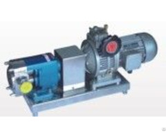 Zb3a Series Rotor Pumps