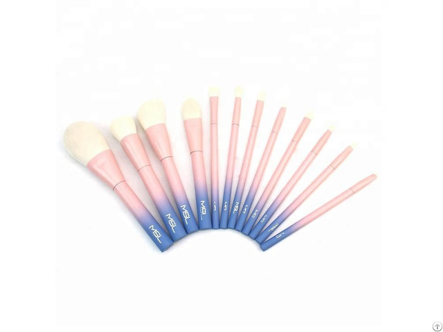 Vdl China Factory Private Label Nylon Hair Color Handle Facial Makeup Brush Set