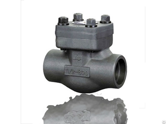 Cryogenic Check Valve