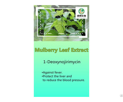 Mulberry Leaf Extract