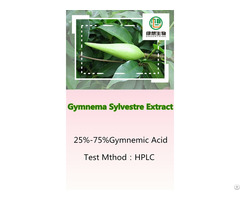 Gymnema Sylvestre Extract