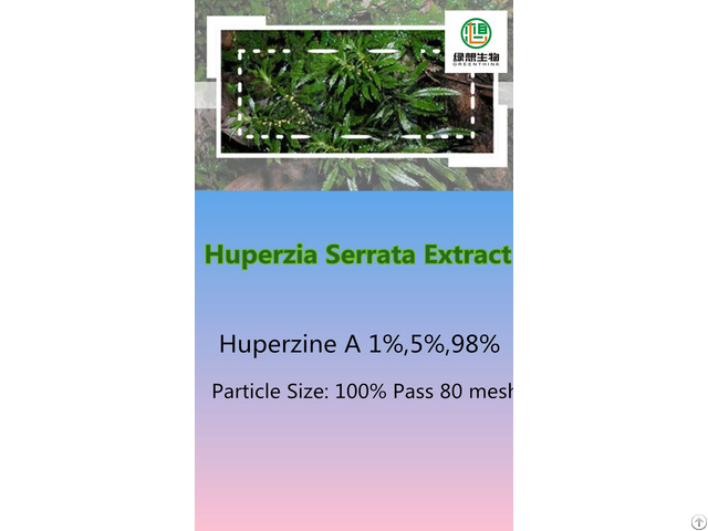 Huperzia Serrata Extract