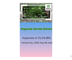 Huperzia Serrata Extract