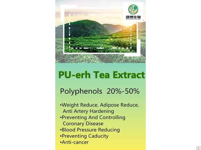 Pu Erh Tea Extract