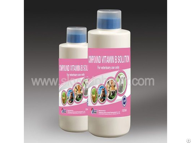 Compound Vitamin B Solution