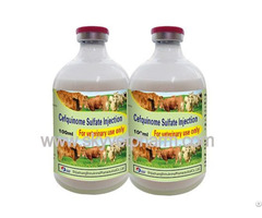 Ceftiofur Hydrochloride Injection