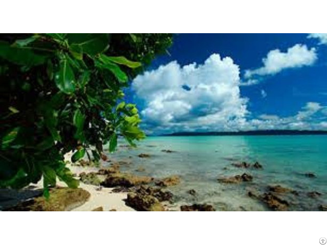 Andaman Tour Package Including Airfare