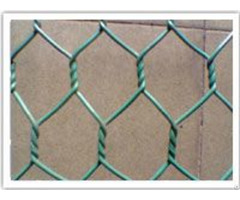 Exported Africa Hexagonal Wire Net