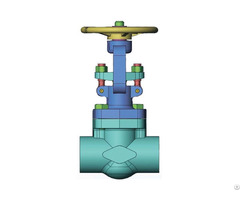 Forged Steel Gate Valve