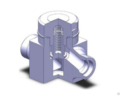 Lift Check Valve