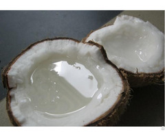 Wax Coconut Full Inside