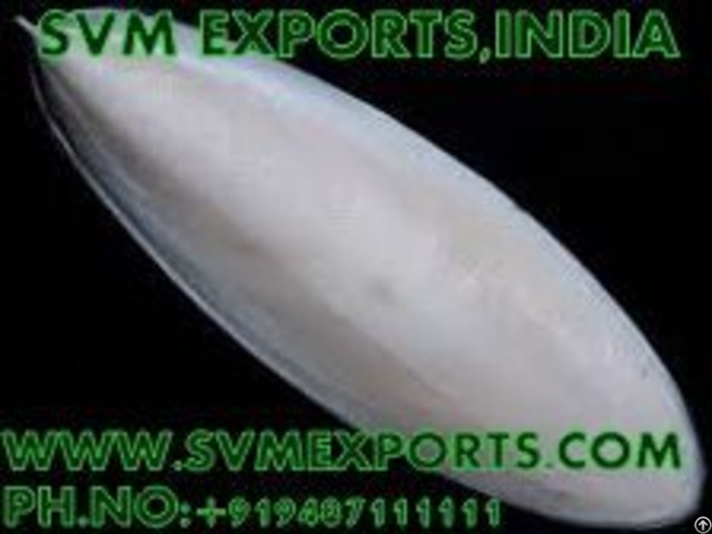 Cuttlefish Bone Suppliers From India