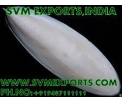 Cuttlefish Bone Suppliers From India