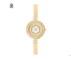 Xinboqin Manufacturer Custom Brand Dropshipping Chinese Simple Fashion Acetate Watch