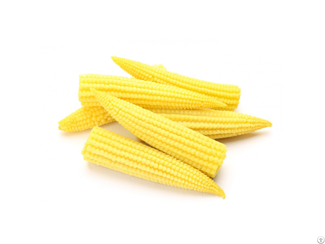 Iqf Frozen Baby Corn Whole L Slice