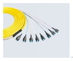 Bundle Patchcord