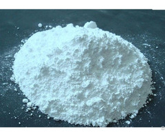 Pharmaceutical Industry Plant Extract Powder