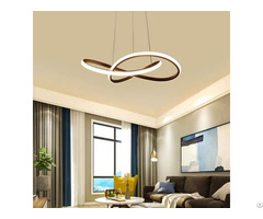 Irregular Cool White Lighting Led Ring Pendant Ceiling Fixture