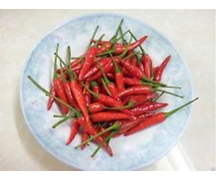 Fresh Long Chili With High Quality And Best Price