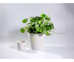 Enviroarc Biodegradable Plastic Flower Pots