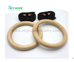 High Quality Gym Ring