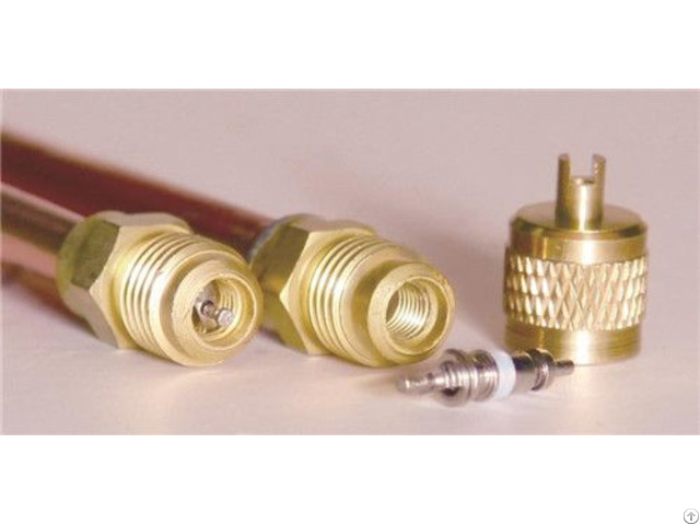 China High Quality Refrigeration And Air Conditioning Copper Access Valve