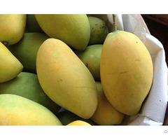 Fresh Mango