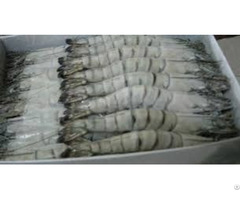 Frozen Black Tiger Shrimp