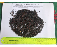 Vietnam Black Rice